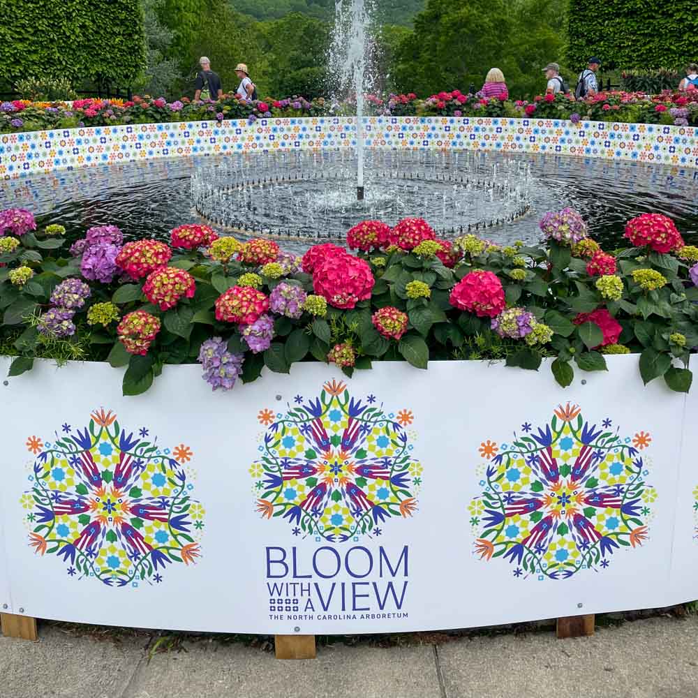 Best Things to Do for Mothers Day in Asheville: Bloom with a View