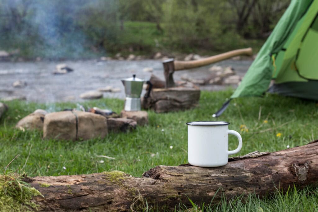 Best Places for Camping near Asheville: North Mills River Campground