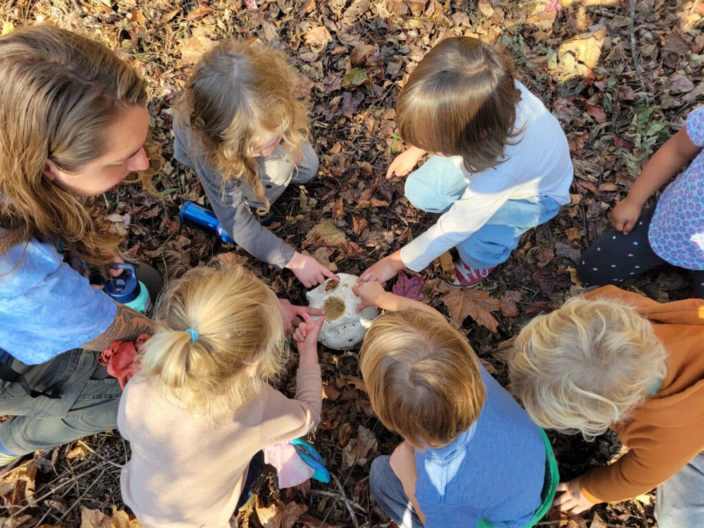 Asheville Summer Camps for Kids:  Growing Wild Forest School